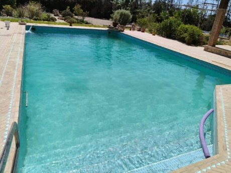 Piscine rénovée eau transparente
